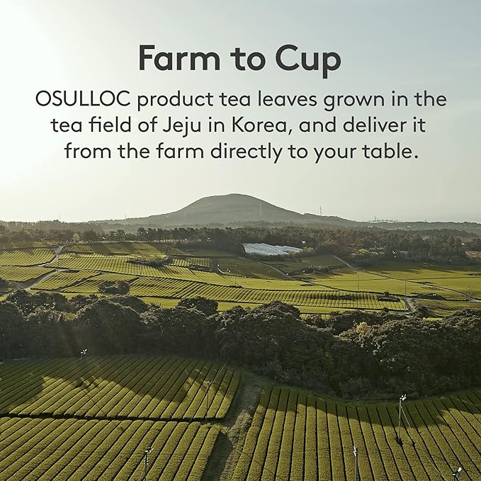 OSULLOC Premium Matcha Powder for lattes, Ceremonial Grade Korean Matcha, Premium Organic (USDA) Pure Leaf Green Tea from Jeju, 1.41 oz, 40g