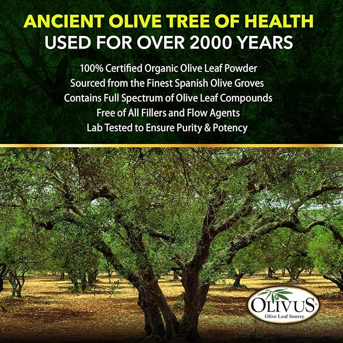 OliveLeafMAX Olive Leaf Extract (40% Oleuroepin) + Organic Olive Leaf Powder + No Fillers + 60 Vegetarian Capsules + Sourced from Spain and Manufactured in USA at GMP Facility