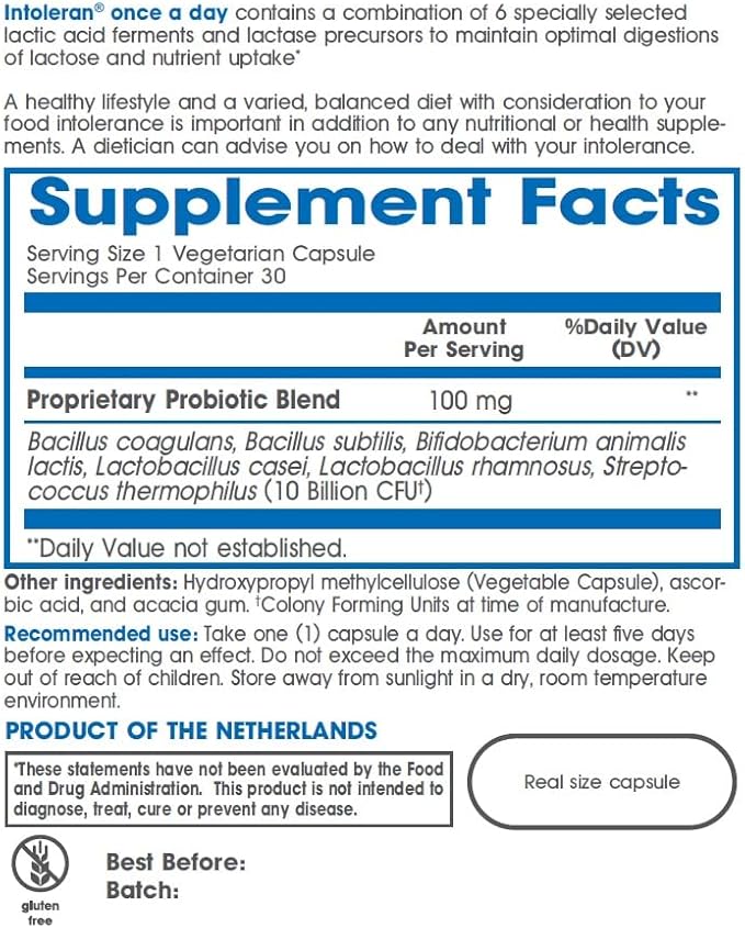 Once a Day - 30 Capsules | Probiotic Lactose Intolerance Supplement | Actively Produces Lactase Enzyme & Helps Digest Dairy | 1 Capsule per Day | 6 Lactic Acid Ferments | Pure & Dairy Free