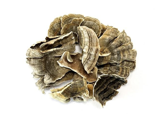 Turkey Tail Mushroom 100 GRAMS Whole Dried Organic Polyporus Vesicolor Yun Zhi