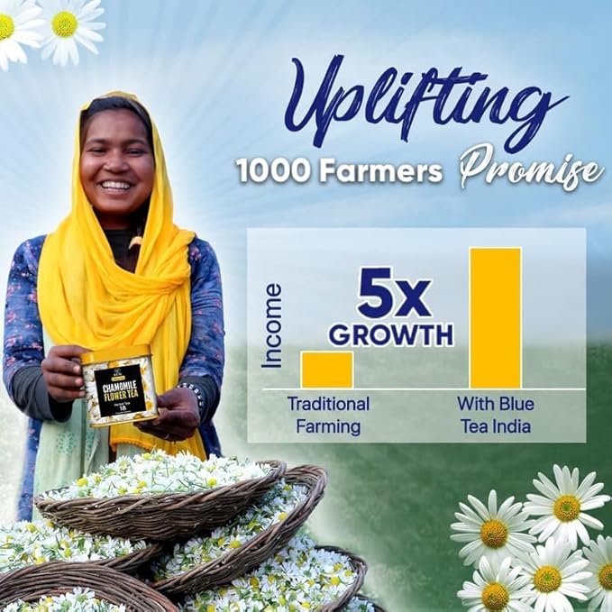 BLUE TEA - Chamomile Tea - 1.05 Oz (30+ Cups) Loose | SLEEP & RELAXATION | Herbal Tea - Caffeine Free - Flower Based - Non-Bitter - Night Time Tea | Reusable Pet Jar