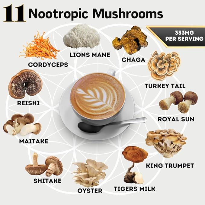 Ohmyes 11 Mushroom Coffee with Cacao – 11 USA Grown Adaptogenic Mushrooms for Focus, Clarity & Energy – Lion’s Mane, Reishi, Chaga + Nootropic Organic Superfood by OhmYes (7oz) - 99 Servings