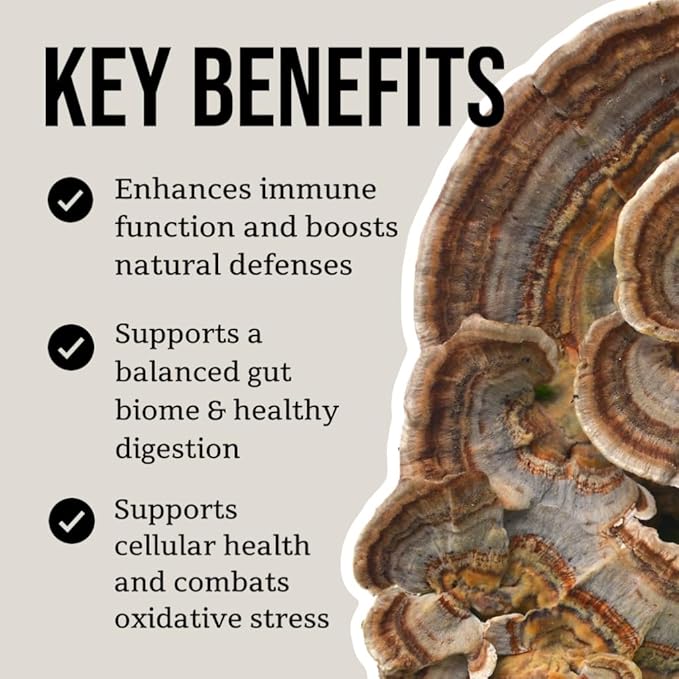 North Spore Organic Turkey Tail Tincture | Mushroom Supplement for Immune Wellness | Sustainably Grown & Confirmed for Potency | Trametes Versicolor Extract | Vegan, Non-GMO - 2oz