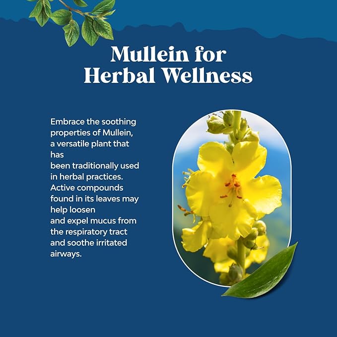 USDA Organic Mullein Drops for Lungs - Herbal Lung Detox & Cleanse with Marshmallow Root Extract & Plantain Leaf for Respiratory Lung Health - Mullein Leaf Tincture Drops Breathing Support - 2 Pack