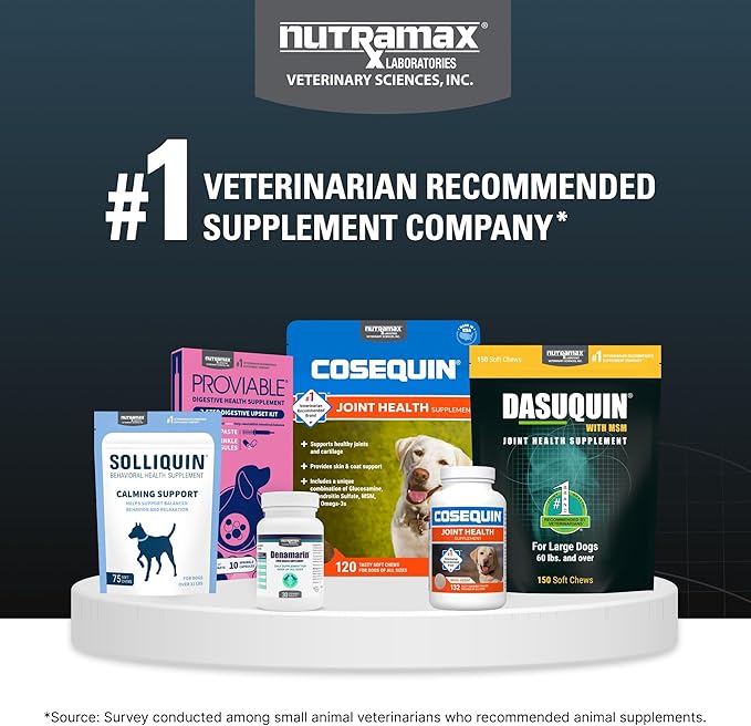 Nutramax Dasuquin for Large Dogs, Joint Health Supplement, Contains Glucosamine for Dogs, Plus Chondroitin, ASU, MSM and More, Supports Healthy Joints, Chewable Tablets, 84 Count