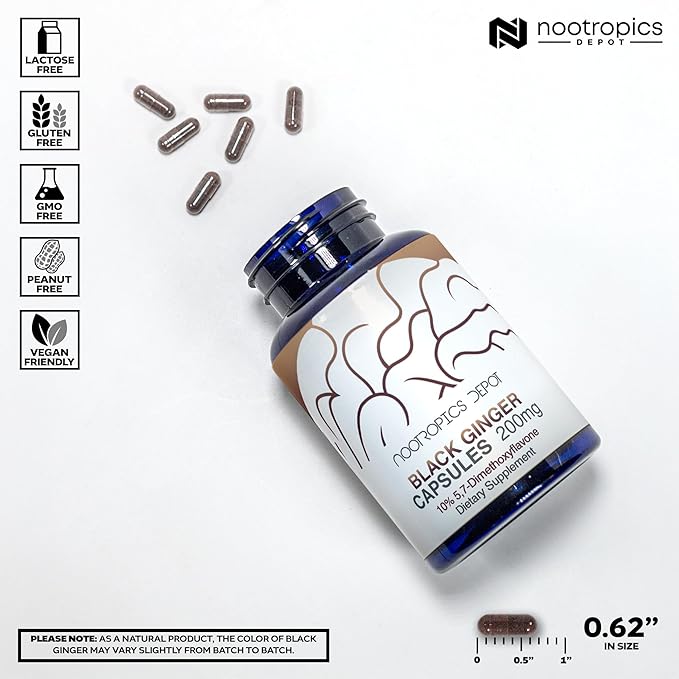 Nootropics Depot Black Ginger Extract Capsules | 10% 5,7-dimethoxyflavone | 60 Count