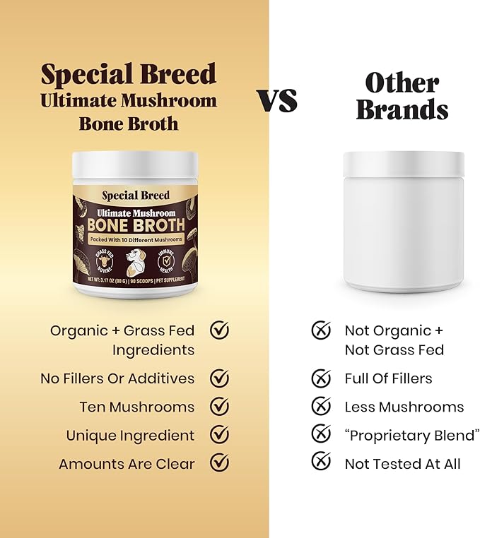Beef Bone Broth for Dogs - Dog Bone Broth Powder with Ten Organic Mushrooms - High Protein + Ten Mushroom Supplement for Joint Flexibility, Immune Support, Cognition, Vitality, Hydration - 90 Scoops