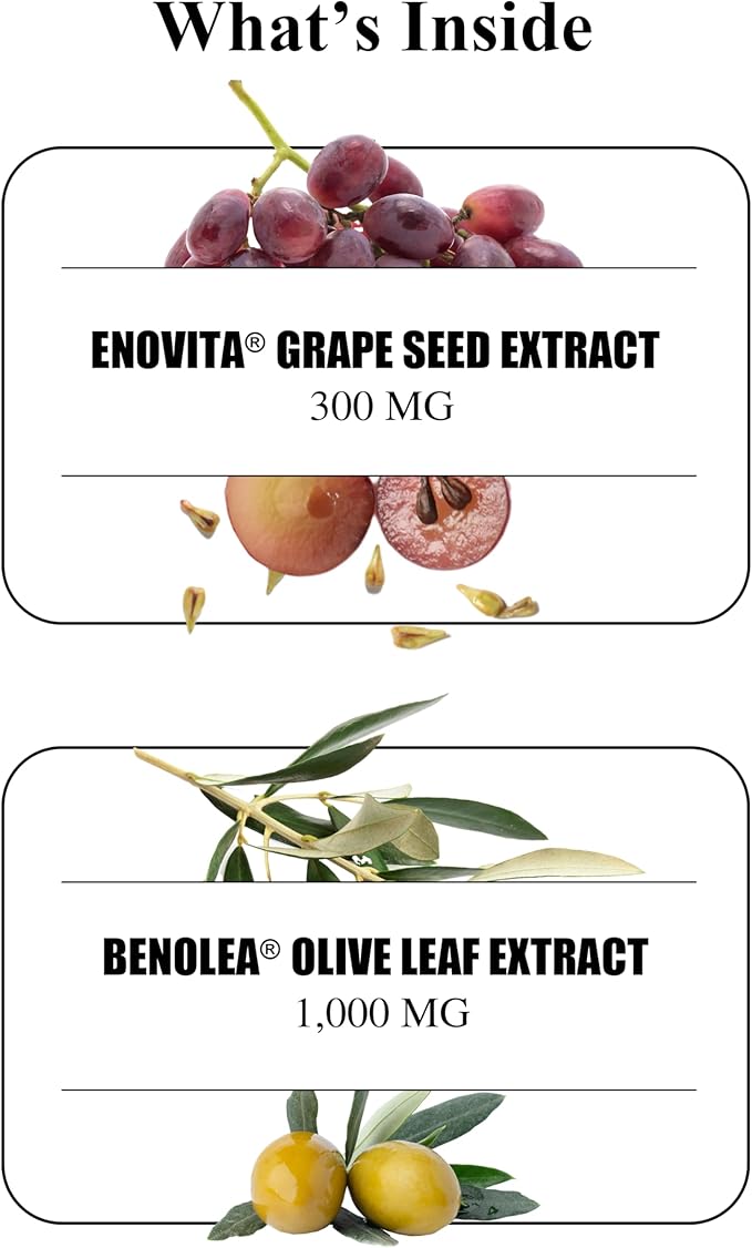 Durable Blood Pressure – Benolea Olive Leaf & Enovita Grape Seed Extract – Healthy Circulation, Nitric Oxide & Artery Support – Doctor Formulated, Vegan, Non-GMO, Made in USA (60 Capsules)