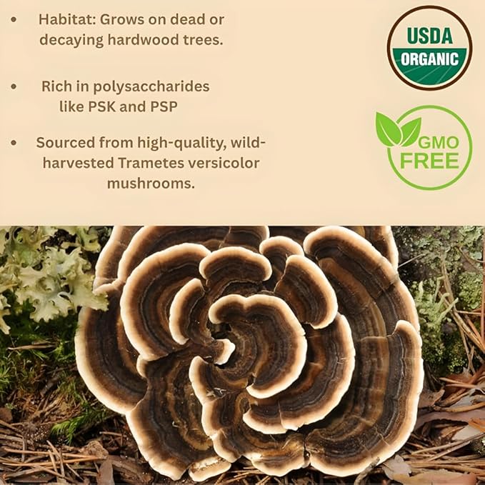 Organic Non-GMO Freeze Dried Turkey Tail Mushroom Powder (50:1 Extract), 16 Ounces | Freeze Dried Longer Shelf Life, Supports Immune Response & Cellular Level (16 OZ)