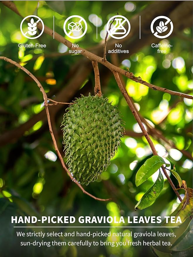 TeeLux Soursop Graviola Leaf Tea Bags, Natural Soursop Leaves Tea, Mild & Smooth Taste, Caffeine Free, 50 Count