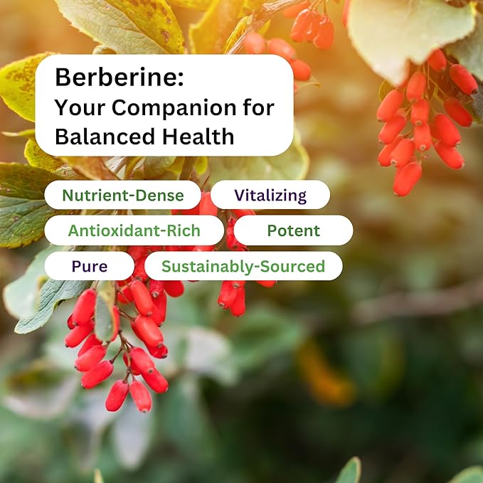 Paradise Herbs, Berberine Extract, 500 mg, Pure & Potent Berberine Supplement, Vegan, Non-GMO, Gluten Free, 60 Vegetarian Capsules