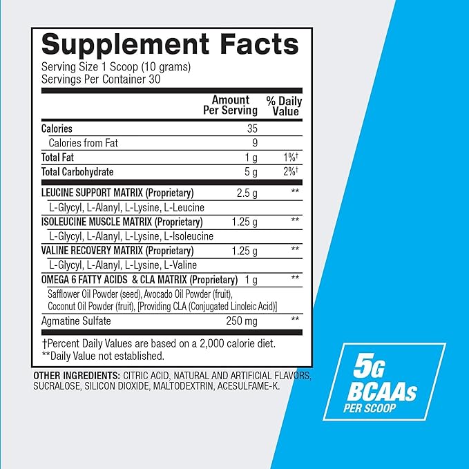 BPI Sports Best BCAA Powder - Muscle Recovery Support - Branched Chain Amino Acids | Building Blocks of Protein and Muscle - Post Workout Recovery – Hydration - Blueberry Lemonade, 30 Servings