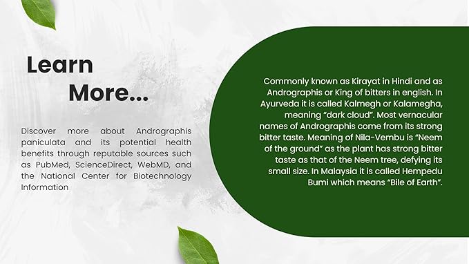 Nilavembu Powder – Andrographis paniculata (Green Chiretta/Kalmegh) – 100% Natural & Pure Herbal Supplement for Natural Immune Support, Liver Health Support & Digestive Wellness (3.5 oz)