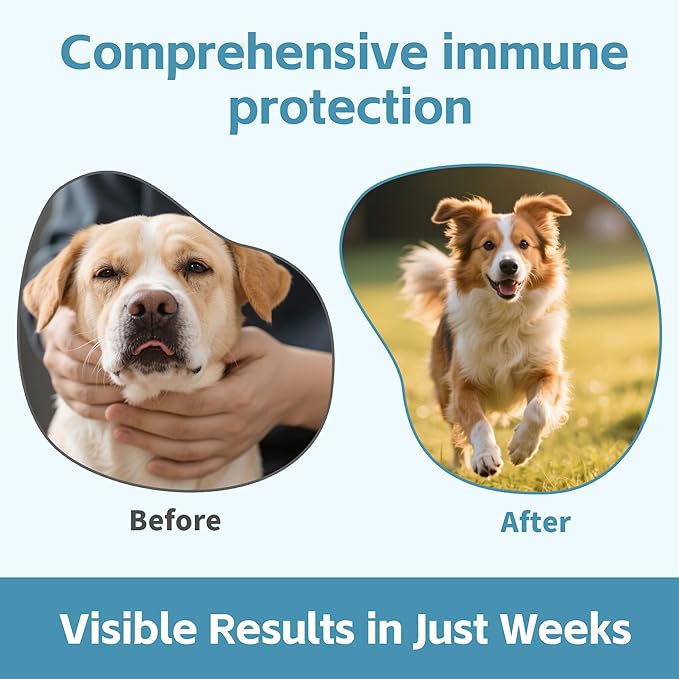 Nutrition Strength Quercetin for Dogs with Bromelain to Support Balanced Immune System, Promote Inflammatory Relief & Antioxidant Activity, Quercetin for Dog Allergies, 120 Chewable Tablets