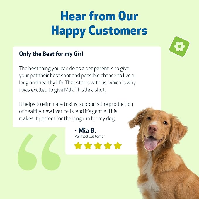 Pet Wellbeing Milk Thistle for Dogs - Organic, Supports Liver Health, Healthy Detoxification, Antioxidants, Liver Cell Support, Silymarins - Veterinarian-Formulated Herbal Supplement 2 oz (59 ml)
