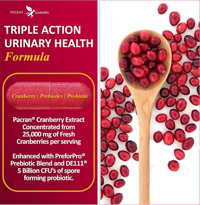 Potent Garden Urinary Support Womens Probiotic for Urinary Tract Health for Women, Cranberry Capsules with 5 Billion CFUs Cranberry Extract, Prebiotics and Probiotics for Women, 60 Caps, 30 Servings