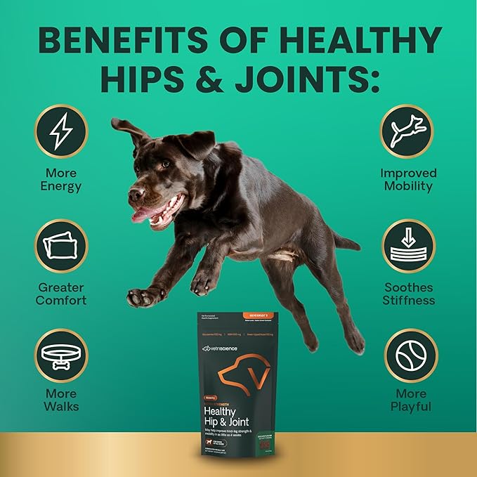 VetriScience Extra Strength Healthy Hip & Joint Chews, GlycoFlex Glucosamine and Green-Lipped Mussel Joint Support Supplement for Dogs, Promote Mobility & Soothe Joint Discomfort, Chicken, 60 Count