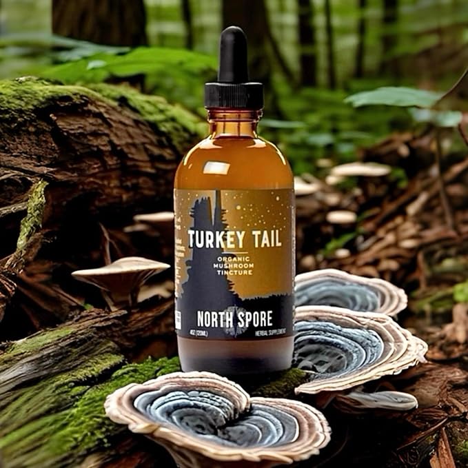 North Spore Organic Turkey Tail Tincture | Mushroom Supplement for Immune Wellness | Sustainably Grown & Confirmed for Potency | Trametes Versicolor Extract | Vegan, Non-GMO - 2oz
