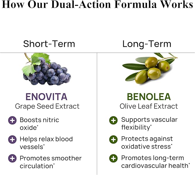 Durable Blood Pressure – Benolea Olive Leaf & Enovita Grape Seed Extract – Healthy Circulation, Nitric Oxide & Artery Support – Doctor Formulated, Vegan, Non-GMO, Made in USA (60 Capsules)