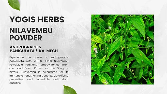 Nilavembu Powder – Andrographis paniculata (Green Chiretta/Kalmegh) – 100% Natural & Pure Herbal Supplement for Natural Immune Support, Liver Health Support & Digestive Wellness (3.5 oz)