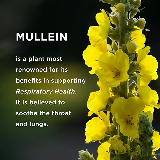 9in1 Mullein Gummies | Lung and Sinus Support for Cleanse, Clarity, and Relief | Vegan, Gluten-Free, Non-GMO Supplement | Natural Berry Flavor, 45-Day Supply, Made in USA (90ct)
