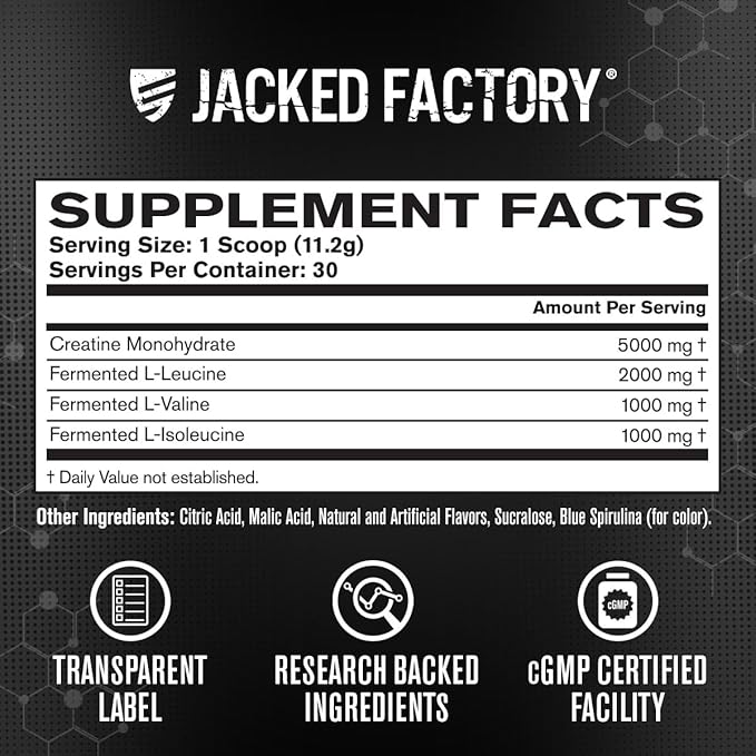 Jacked Factory Creatine + BCAAs - Creatine Monohydrate + BCAA Powder for Increased Post-Workout Recovery, Performance, Lean Muscle Growth, & Reduced Fatigue - 30 Servings, Blue Raspberry