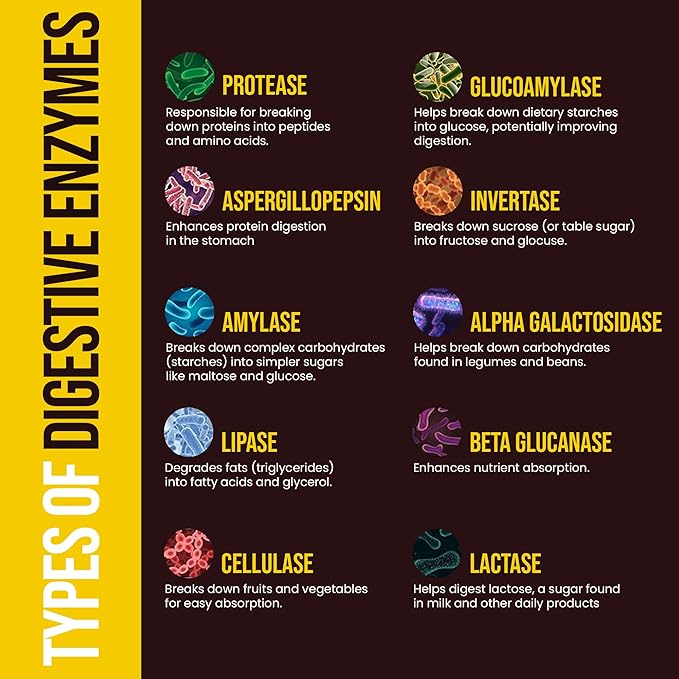 Digestive Enzymes for Carnivores – Pharmacist Formulated Supplement for Meat, Carbs, Fat, Milk and Vegetable Digestion – 8 Week Supply – Made in USA