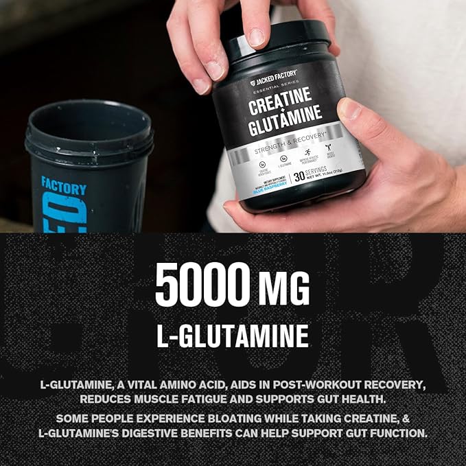 Jacked Factory Creatine + Glutamine - Creatine Supplement with L-Glutamine for Muscle Recovery, Muscle Growth, Increased Strength, Enhanced Energy Output, and Gut Health - 30 Servings, Blue Raspberry