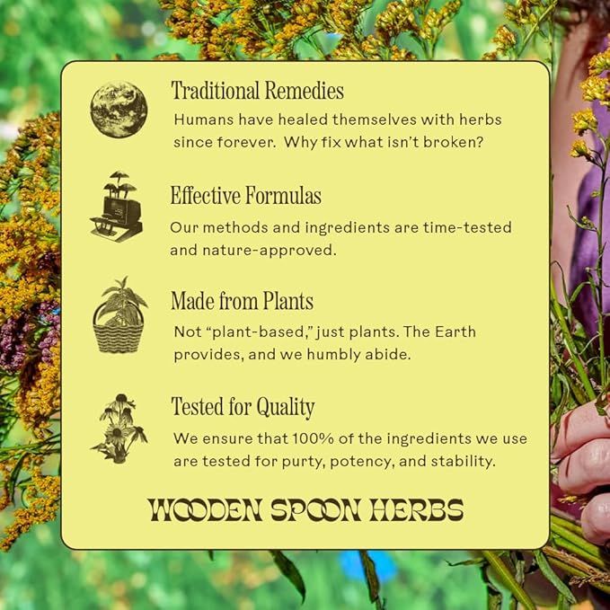 Wooden Spoon Herbs - Brain Bloom | Organic Brain Supplement for Memory and Focus with Rosemary, Bacopa, Lions Mane, Gotu Kola & Ginkgo Leaf & Turmeric | Gluten-Free, Non-GMO, Vegan (60 CT, Capsules)