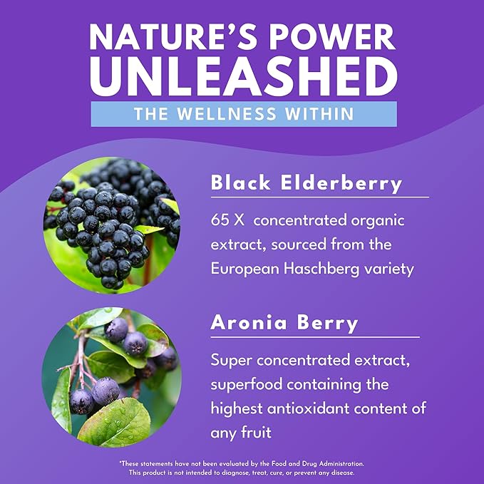 Elderberry Plus - 65x Concentrated Black Elderberry Extract with Zinc & Vitamin C for Daily Immune Support & Seasonal Wellness - Non-GMO, 30 Vegan Capsules
