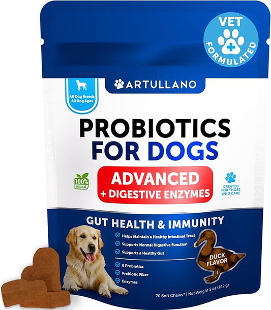 Probiotics for Dogs - Support Gut Health, Itchy Skin, Allergies, Immunity, Yeast Balance - Dog Probiotics and Digestive Enzymes with Prebiotics - Reduce Diarrhea, Gas - 70 Probiotic Chews for Dogs