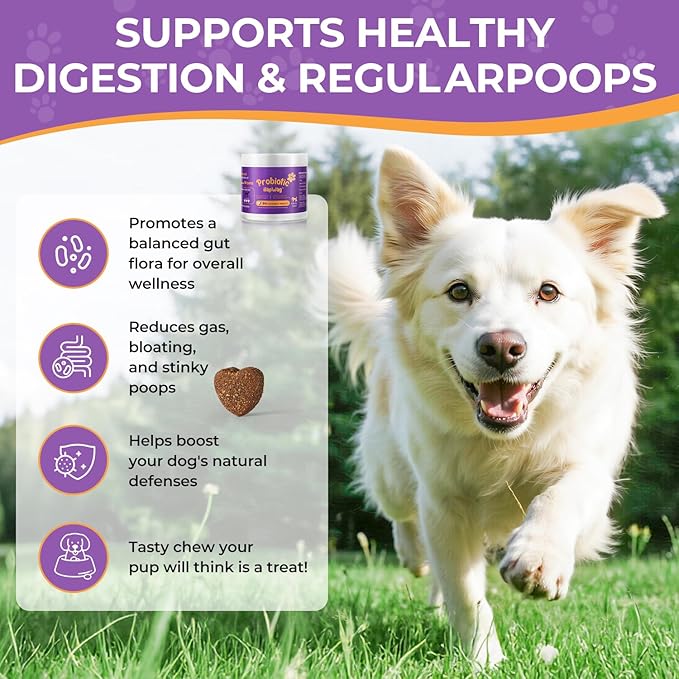 Probiotics for All Breeds and Ages Dogs, Support Gut Digestive Health, Anti Diarrhea, Constipation Relief, No More Allergies, Dog Supplements - Pork Flavor - 90 Soft Chews