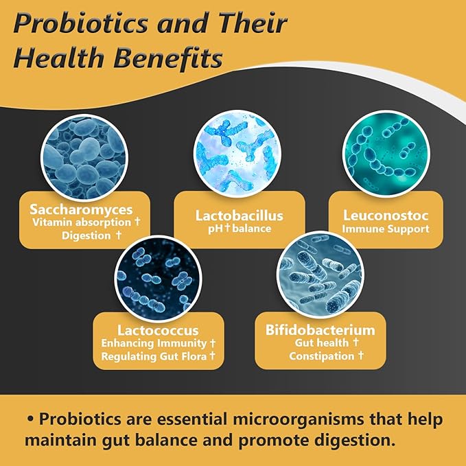 Probiotics with Prebiotics for Men and Women - 35 Strains Organic Probiotics 100 Billion CFU for Gut & Digestive Health, Vegan Acidophilus Probiotic Supplement, Non-GMO Raw Probiotic 60 Capsules