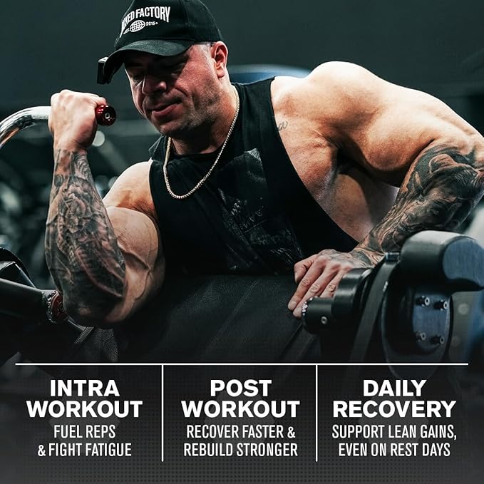 Jacked Factory Creatine + BCAAs - Creatine Monohydrate + BCAA Powder for Increased Post-Workout Recovery, Performance, Lean Muscle Growth, & Reduced Fatigue - 30 Servings, Unflavored