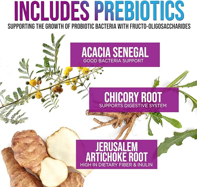 Probiotics for Women & Men 60 Billion CFU - 10 Strains with Lactobacillus, Digestive Gut Health Probiotics & Immune Support Supplement, Supports Occasional Constipation, Gas & Bloating - 120 Capsules