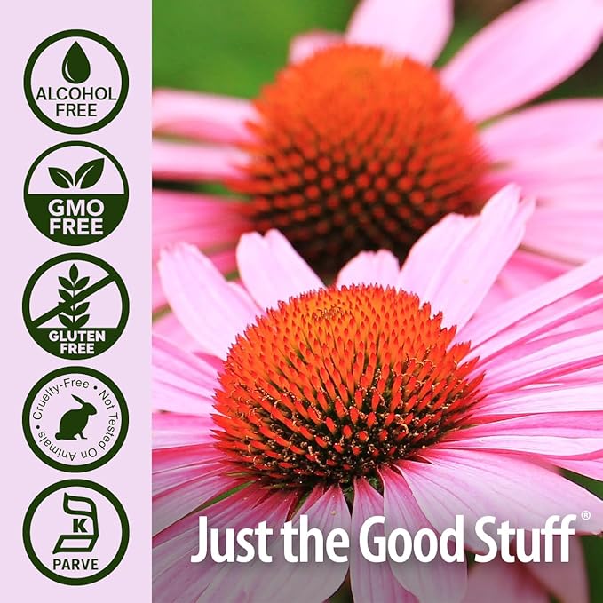 Nature's Answer Echinacea Extract | Supports a Healthy Immune System | Vegan, Gluten-Free, Alcohol-Free, Non-GMO & Kosher Certified | 2oz