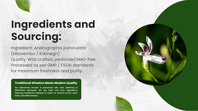 Nilavembu Powder – Andrographis paniculata (Green Chiretta/Kalmegh) – 100% Natural & Pure Herbal Supplement for Natural Immune Support, Liver Health Support & Digestive Wellness (3.5 oz)