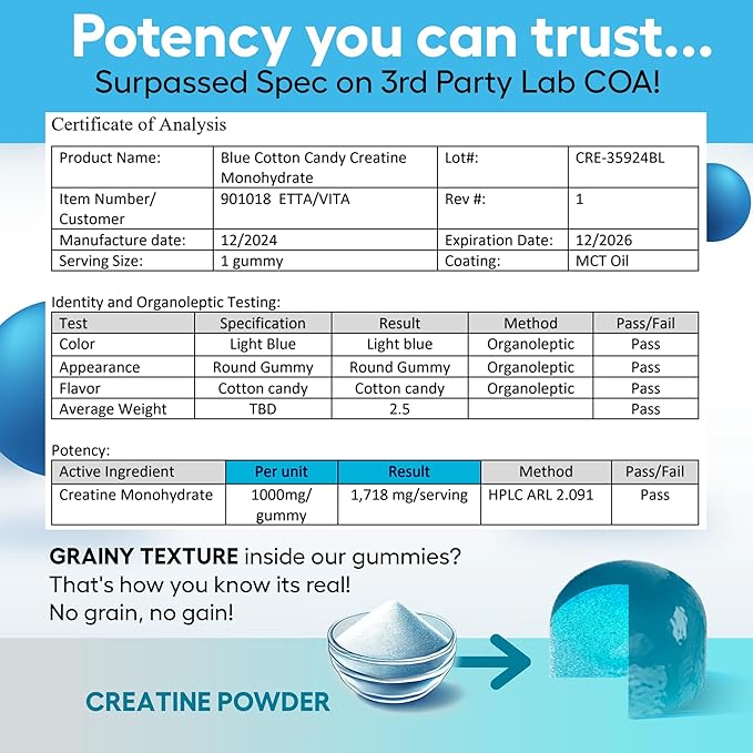 Sugar-Free Creatine Monohydrate Gummies (5g Per Packet) - Potent Creatine Gummies for Men & Women, Supplement for Muscle Support, Cellular Energy, Cognitive Function - Non-GMO, Gluten-Free, Vegan