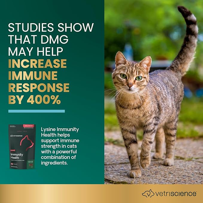 VetriScience Lysine Immunity Health Chews, 250 mg Lysine Plus Immune Supplement for Cats and Kittens with Allergies, Sneezing, Runny Nose and Watery Eyes, Chicken, 120 Count
