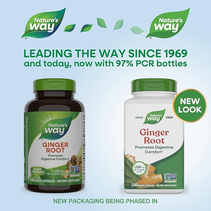 Nature's Way Ginger Root Capsules 550 mg per capsule, Digestive Comfort* Reduces Motion-Related Nausea*, 1,100 mg per 2 Capsules, Non-GMO Project Verified, Vegan, 240 Count (Packaging May Vary)