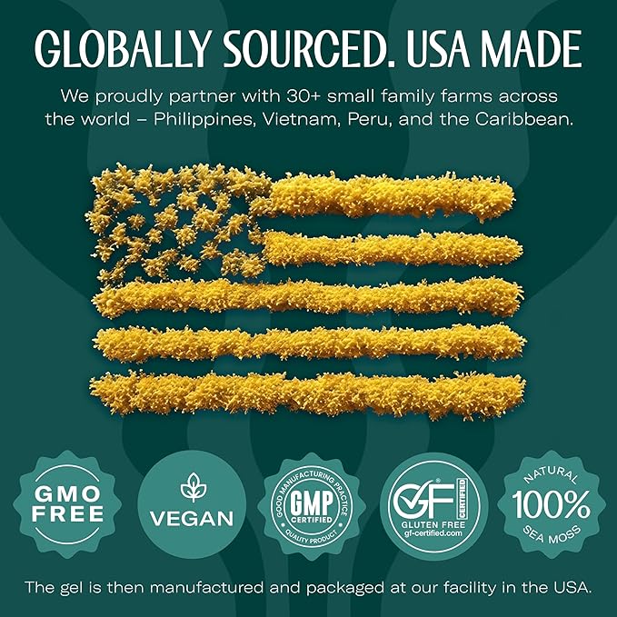 TrueSeaMoss Sea Moss Gel – Made in USA – Wildcrafted Seamoss, Fresh Fruits & Sea Vegetables – Mango/Pineapple, Pack of 1 (Labels may Vary)