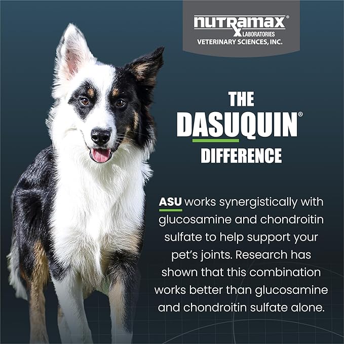 Nutramax Dasuquin for Small to Medium Dogs, Joint Health Supplement, Contains Glucosamine for Dogs, Plus Chondroitin, ASU and More, Supports Healthy Joints, Chewable Tablets, 84 Count
