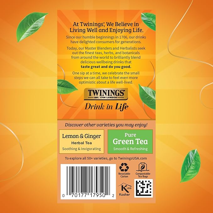 Twinings Orange & Cinnamon Spice Herbal Tea Individually Wrapped Bags, 20 Count (Pack of 6), Naturally Caffeine-Free, Enjoy Hot or Iced, 120 Teabags