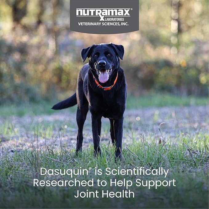 Nutramax Dasuquin for Large Dogs, Joint Health Supplement, Contains Glucosamine for Dogs, Plus Chondroitin, ASU and More, Supports Healthy Joints, Chewable Tablets, 84 Count