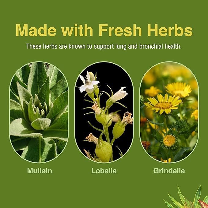 Herbs Etc. Lung Tonic - Lung Supplement for Bronchial Support - Healthy Breathing Support with Mullein, Horehound & Grindelia - 60 Softgels