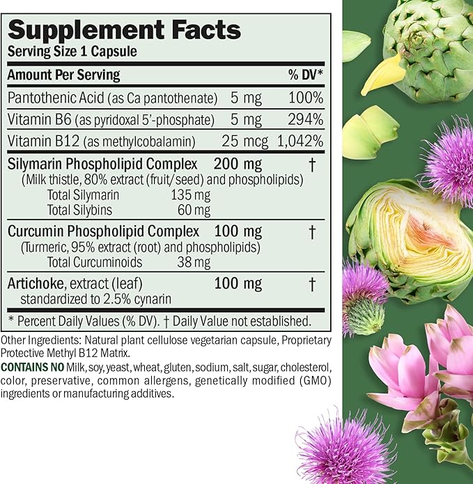 ANDREW LESSMAN Liver Anti-Oxidant Extracts 240 Capsules - Supports The Hard-Working Tissues of The Liver, Promotes Optimum Liver Health and Function. Milk Thistle, Turmeric and Artichoke Extracts