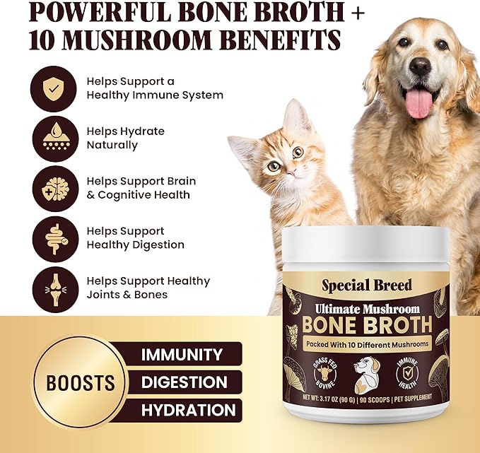 Beef Bone Broth for Dogs - Dog Bone Broth Powder with Ten Organic Mushrooms - High Protein + Ten Mushroom Supplement for Joint Flexibility, Immune Support, Cognition, Vitality, Hydration - 90 Scoops