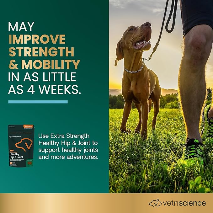 VetriScience Extra Strength Healthy Hip & Joint Chews, GlycoFlex 3, Glucosamine, Green-Lipped Mussel, Joint Support Supplement for Dogs, Promote Mobility & Soothe Joint Discomfort, Chicken, 120 Count