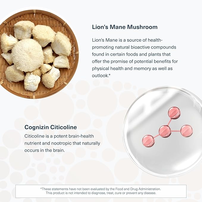 Youtheory Lion's Mane+ Capsule 90 Vegetarian Capsules