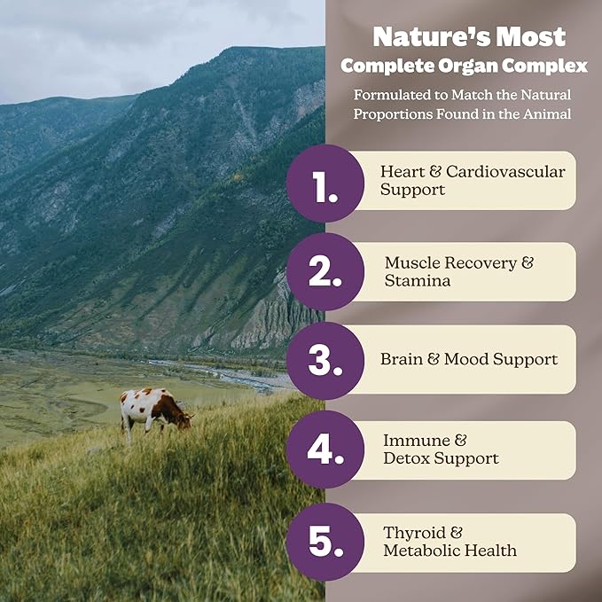 MK Supplements – Grass-Fed Beef Organs 3000 mg, 180 Beef Organs Capsules, Multivitamin, 100% Pasture-Raised in New Zealand, 45-Day Supply, Liver, Heart, Kidney, Spleen, Pancreas